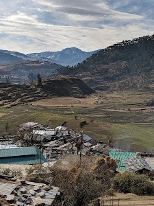 Bestiwalli