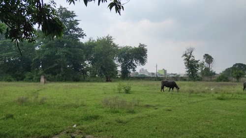 Polytechnic ground