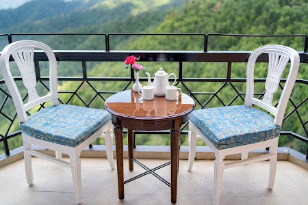 Toshali Royal View Shimla