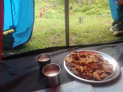 cloud camp and cafe jungle gali
