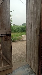 Baseda Kanjar