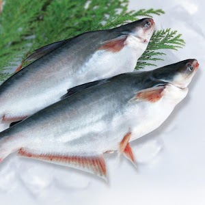 FishKing Fish Delivery Services