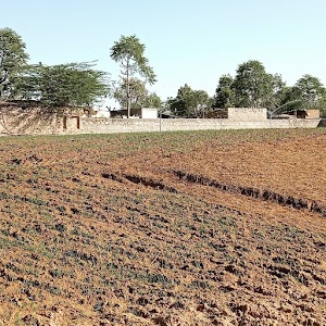 Gram Panchayat Rojari