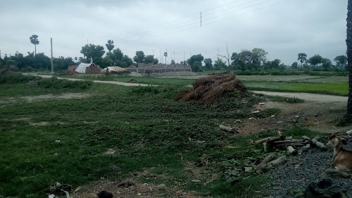 Hardiya