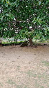 Deheli pahad