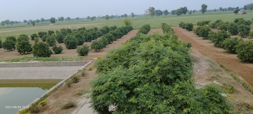 Kinno farm