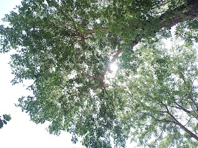 Badhanpur