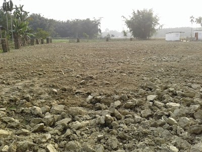 Tamulpur LP School