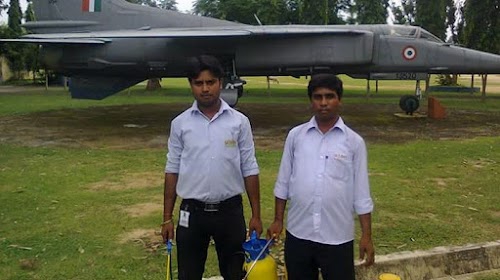 global pest solution