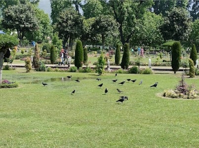 Park Zoori Gund