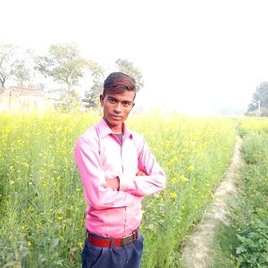 Amapur Berra