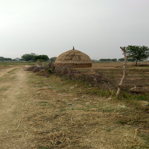 Sorai