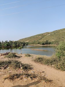 Dyna Farms