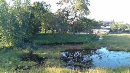 Amguri Gaon