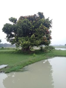 Kali Mandir Singh Nivas