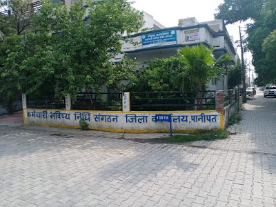 P F Office