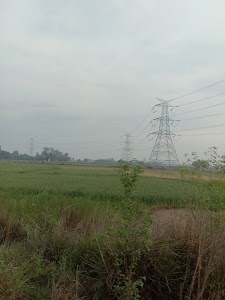 Satna devi entar collage saroj nivar