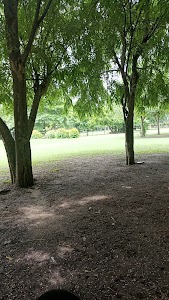 Noida Authority Park