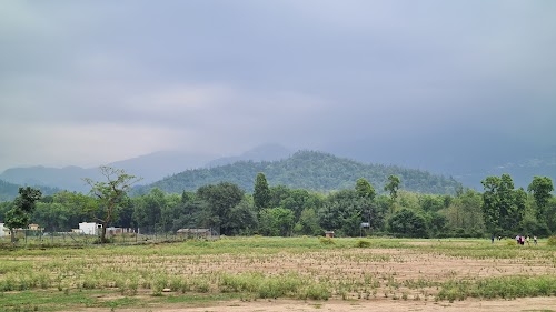 badkot mafi plot