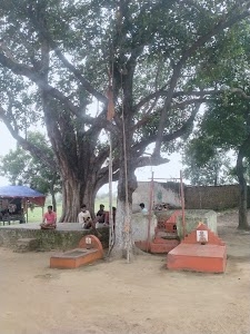 Mithapur (Bouri Para) Kathal tola