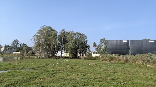 Kannuru