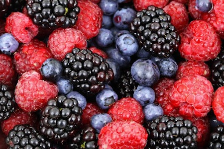 Fruits Mart