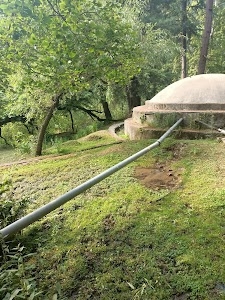 اندو ناگ