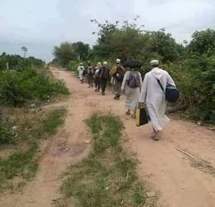 Halaichhara