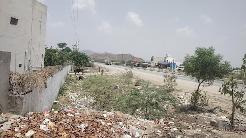 Ajmer putti मांगलियावास