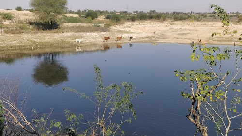 Hingola krishna Mandir