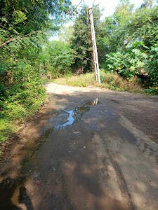 Kharedi