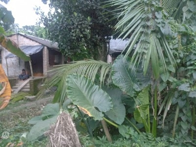 Buruj Kali Mondir
