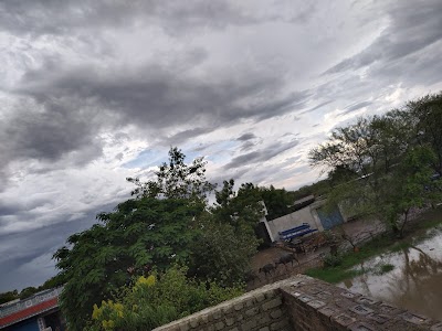 Kachara