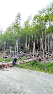 Yendegaia National Park