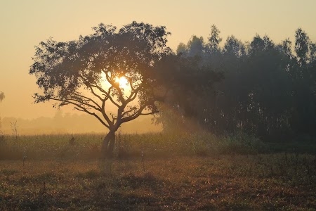 Seegehalli, Krishnarajapura