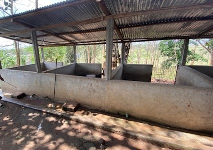 Rupam Das's Pig Farm