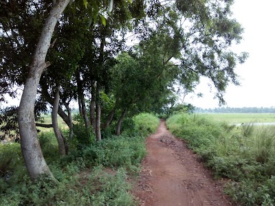 Kanai Chak