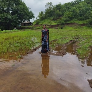 shetewadi