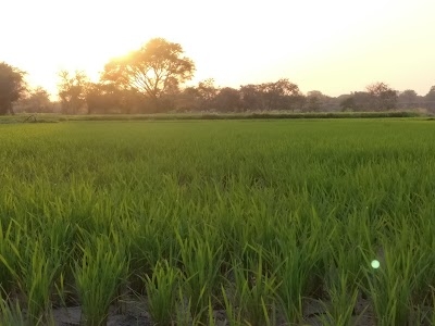 Toopran