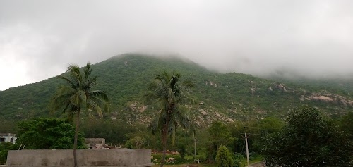 Haladia