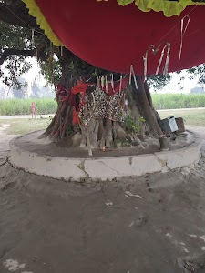 Jai shree pakariya baba shiv mandir