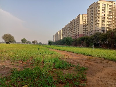 RANGOLI GARDENS