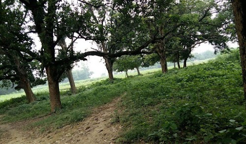 Asha Baba Temple
