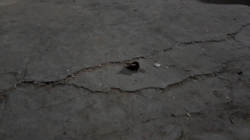 MAHADEV MANDIR