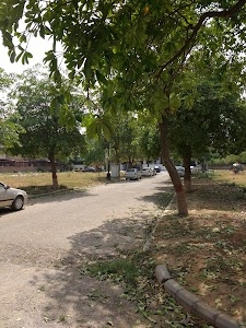 Rosewood City