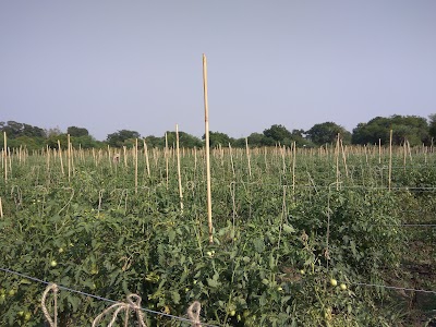 Lukwasa