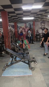 Force Fitness