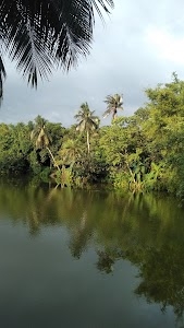 Golahat