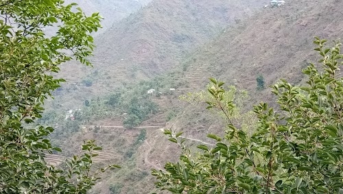 Neeyul