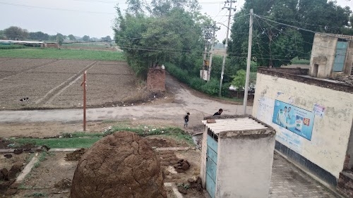 Kali Mandir Maharajpur